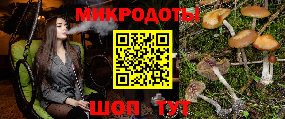 Псилоцибиновые грибы GOLDEN TEACHER Саяногорск